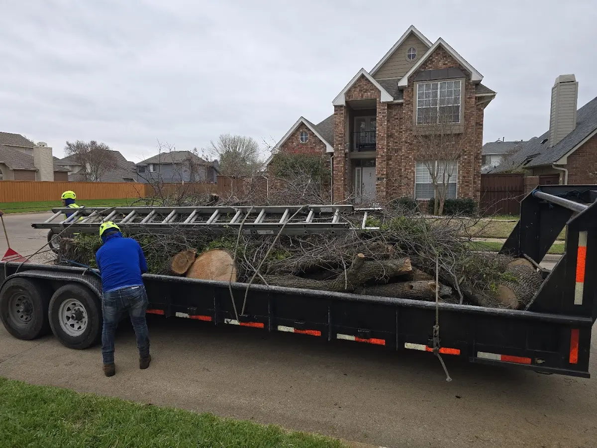 Expert Tree Pest Control with proper safety equipment in Elizabethport